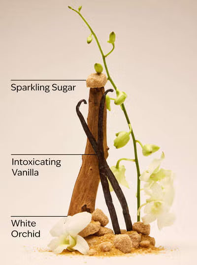 Vanilla beans, sparkling sugar, and white orchids with labels on a beige background