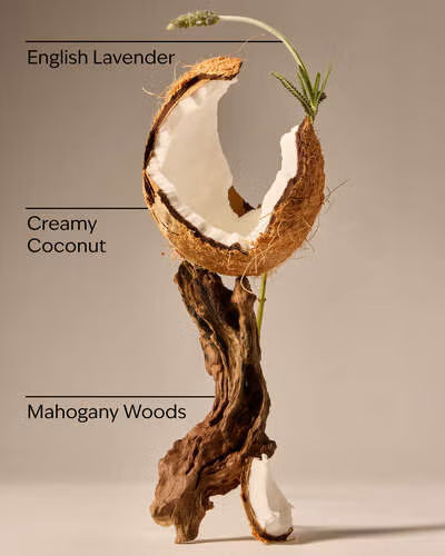 Coconut with a plant on a neutral background, labeled 'English Lavender', 'Creamy Coconut', and 'Mahogany Woods'. Purchase from www.americanbodycare.co.uk