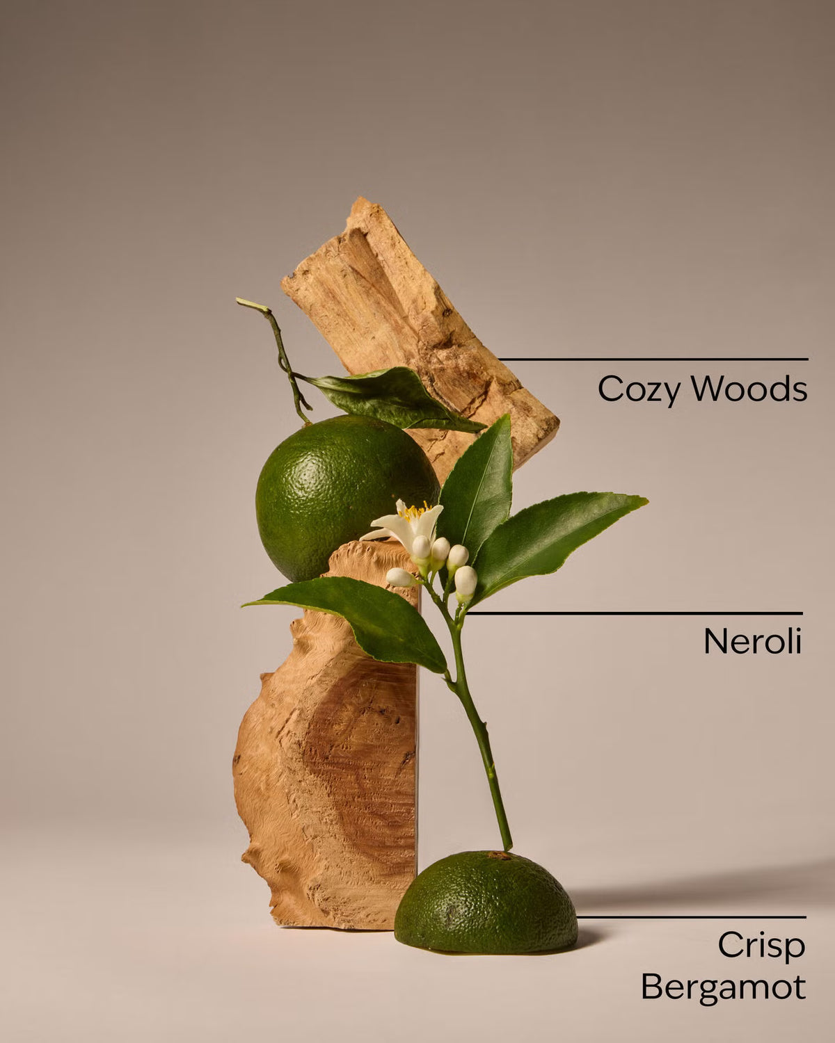 A styled botanical product shot featuring a green bergamot fruit, a green neroli citrus peel with white blossoms, and natural wood pieces on a warm beige studio background. Thin black lines with labels read 'Cozy Woods,' 'Neroli,' and 'Crisp Bergamot. Purchase from www.americanbodycare.co.uk