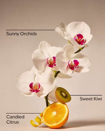 Bath & Body Works Pink Kiwi Berry PocketBac