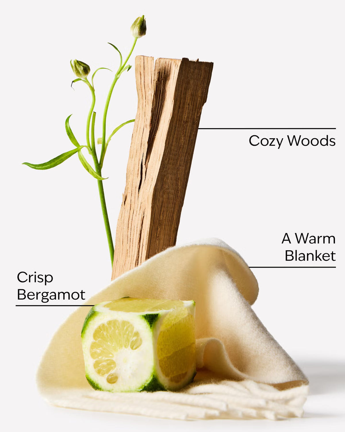 A styled product photo on a light gray background showing a folded cream blanket with a cut bergamot lime, a piece of wood, and a green stem, with text labels reading 'Cozy Woods' and 'A Warm Blanket'. www.americanbodycare.co.uk
