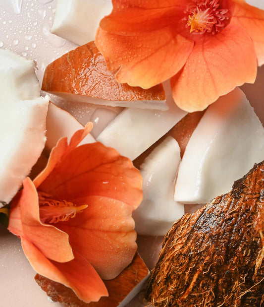 Close-up of coconut pieces and orange flowers on a light background. Purchase from americanbodycare.co.uk