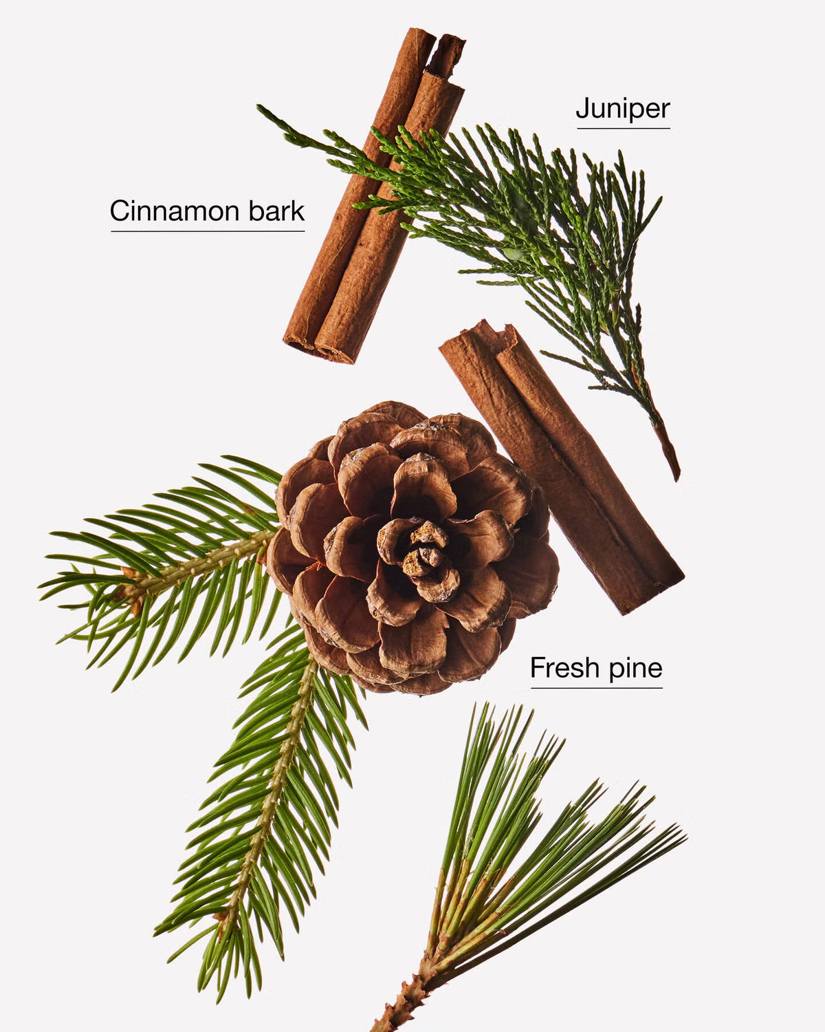Bath & Body Works Cinnamon Pinecone 3 Wick Candle