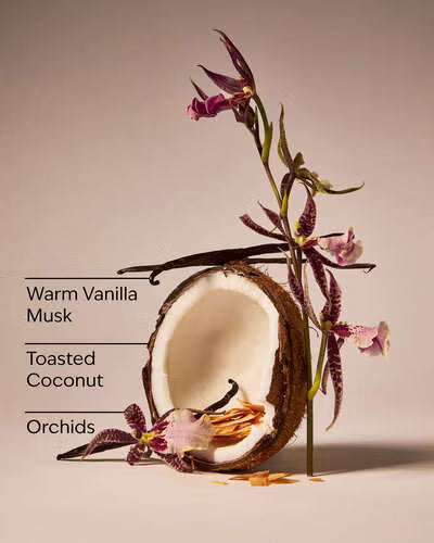 Vanilla bean, coconut, and orchid with text labels on a beige background. White Barn Tiki Beach car fragrance refill on a beige background. Purchase from www.americanbodycare.co.uk 