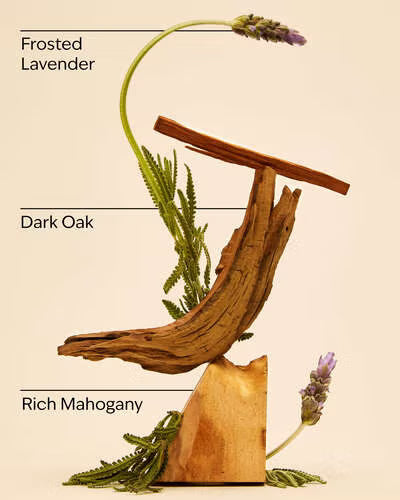 Wooden sculpture with lavender on a beige background, labeled 'Frosted Lavender', 'Dark Oak', and 'Rich Mahogany'. Purchase from www.americanbodycare.co.uk 