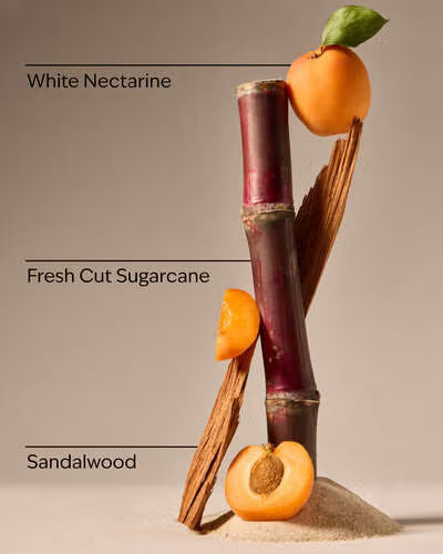 White nectarine, fresh cut sugarcane, and sandalwood on a neutral background. Purchase from www.americanbodycare.co.uk 