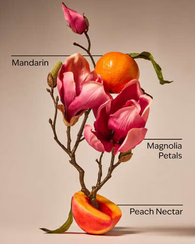 Decorative arrangement with magnolia petals, a mandarin, and peach nectar on a beige background.