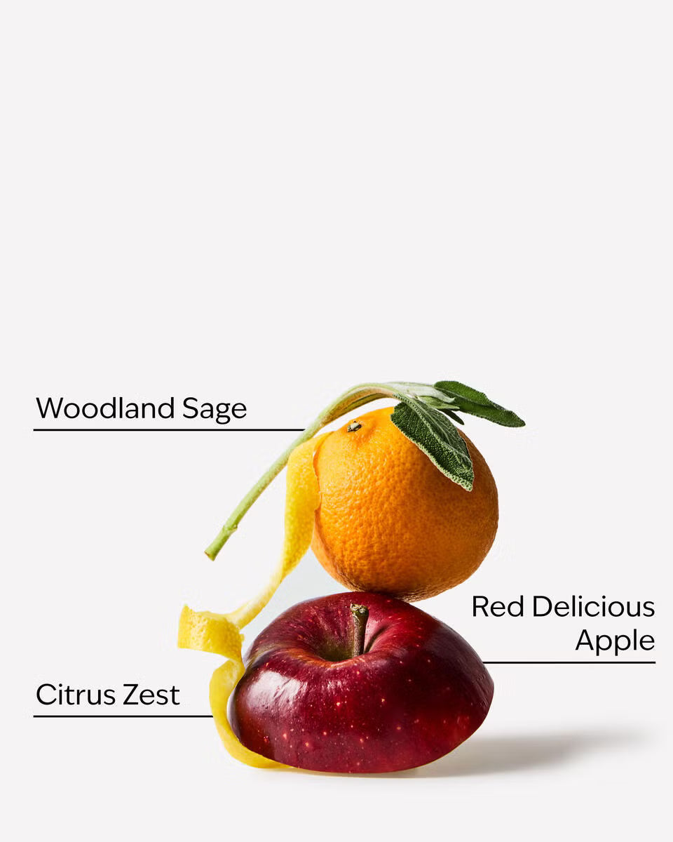 A styled product shot on a light gray background featuring a red apple, an orange, and a yellow citrus peel with sage leaves. Text labels point to the ingredients: 'Woodland Sage,' 'Red Delicious Apple,' and 'Citrus Zest. Purchase from www.americanbodycare.co.uk 
