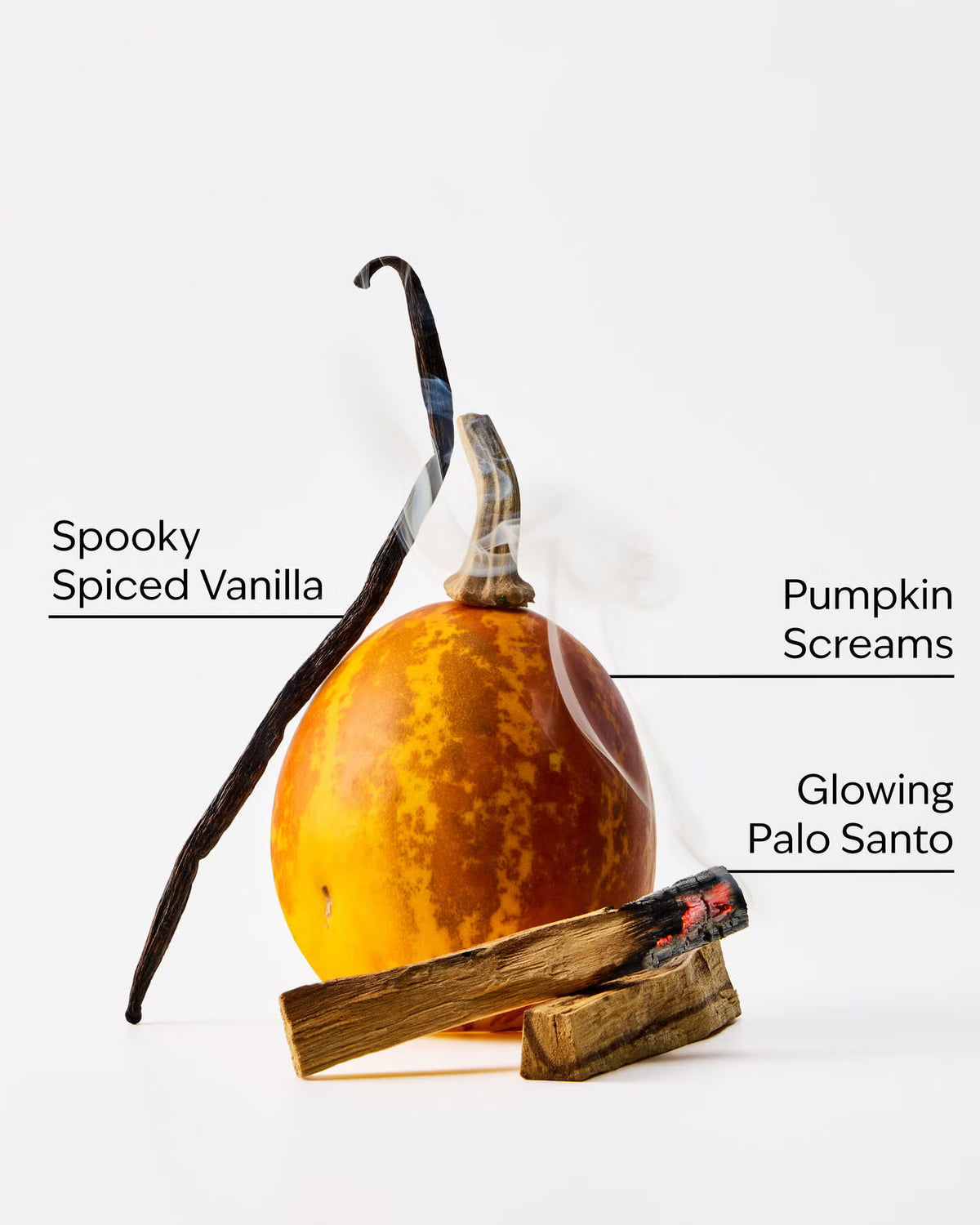 A styled product shot on a white background featuring a small orange pumpkin with a dark stem, a vanilla bean labeled 'Spooky Spiced Vanilla,' a smoldering palo santo stick, and text labels reading 'Pumpkin Screams' and 'Glowing Palo Santo.'. www.americanbodycare.co.uk
