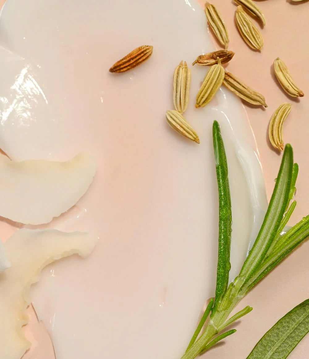 Cumin seeds and rosemary on a pink surface with a white ceramic bowl. sweet mint EOS lip balm. Purchase from americanbodycare.co.uk