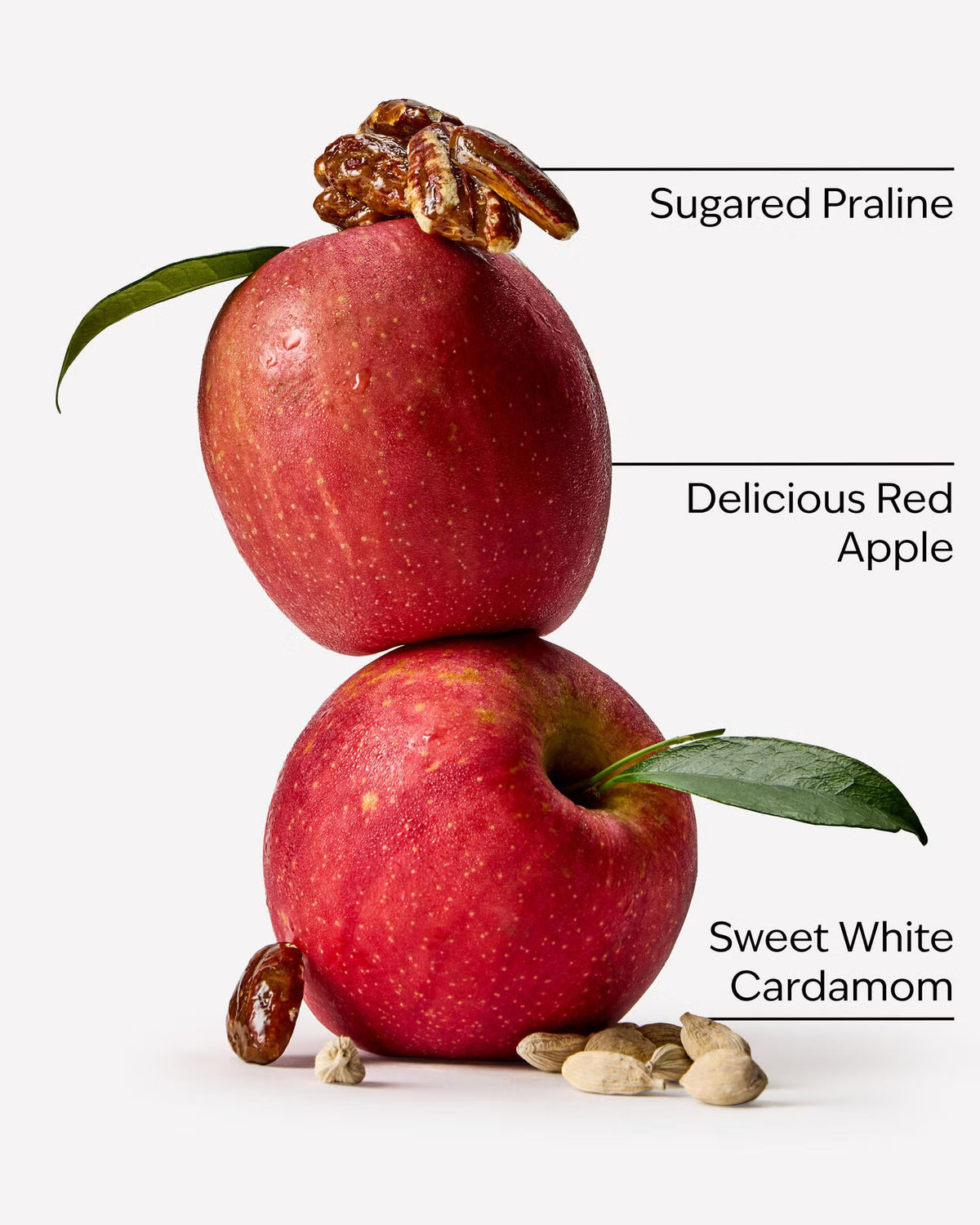 Bath & Body Works Apple Cinnamon Spice 3 Wick Candle
