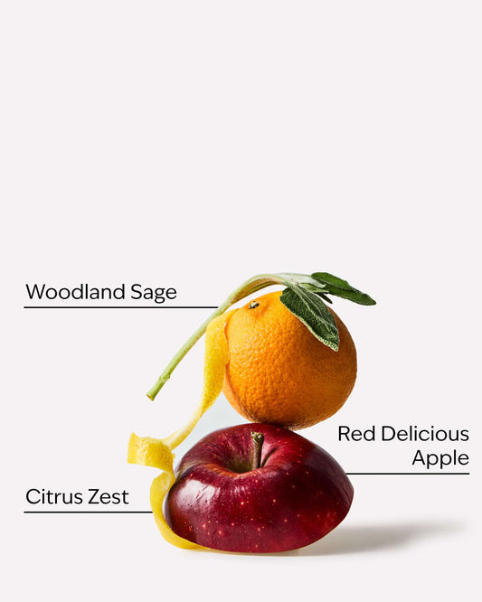 A styled product shot on a light gray background featuring a red apple, an orange, and a yellow citrus peel with sage leaves. Text labels point to the ingredients: 'Woodland Sage,' 'Red Delicious Apple,' and 'Citrus Zest. Pocketbac Fresh Fall Morning anti-bacterial hand gel in a 1 fl oz blue plastic bottle with a gold cap, on a light gray background. Purchase from www.americanbodycare.co.uk