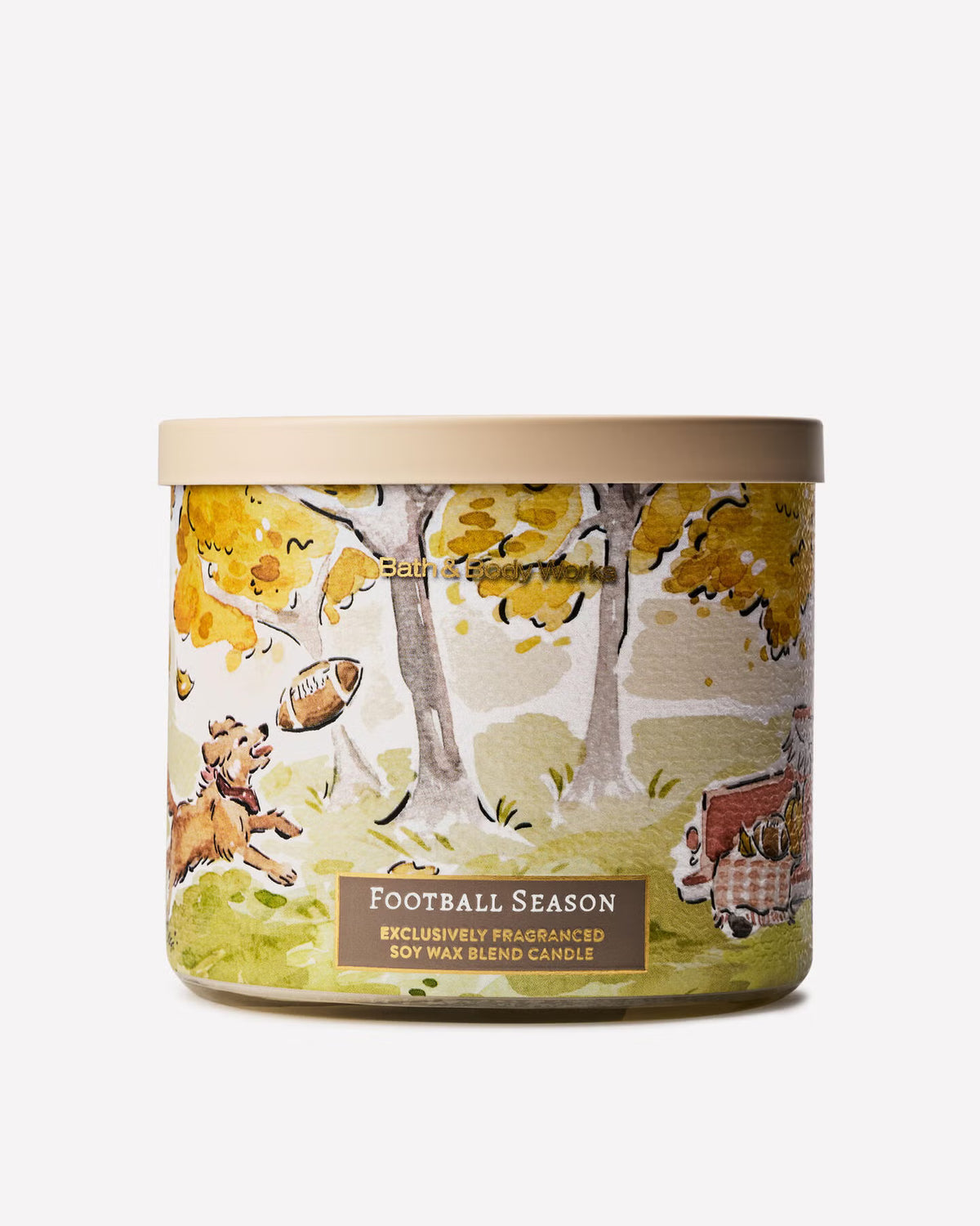 Bath & Body Works Football Season 3 Wick Candle
