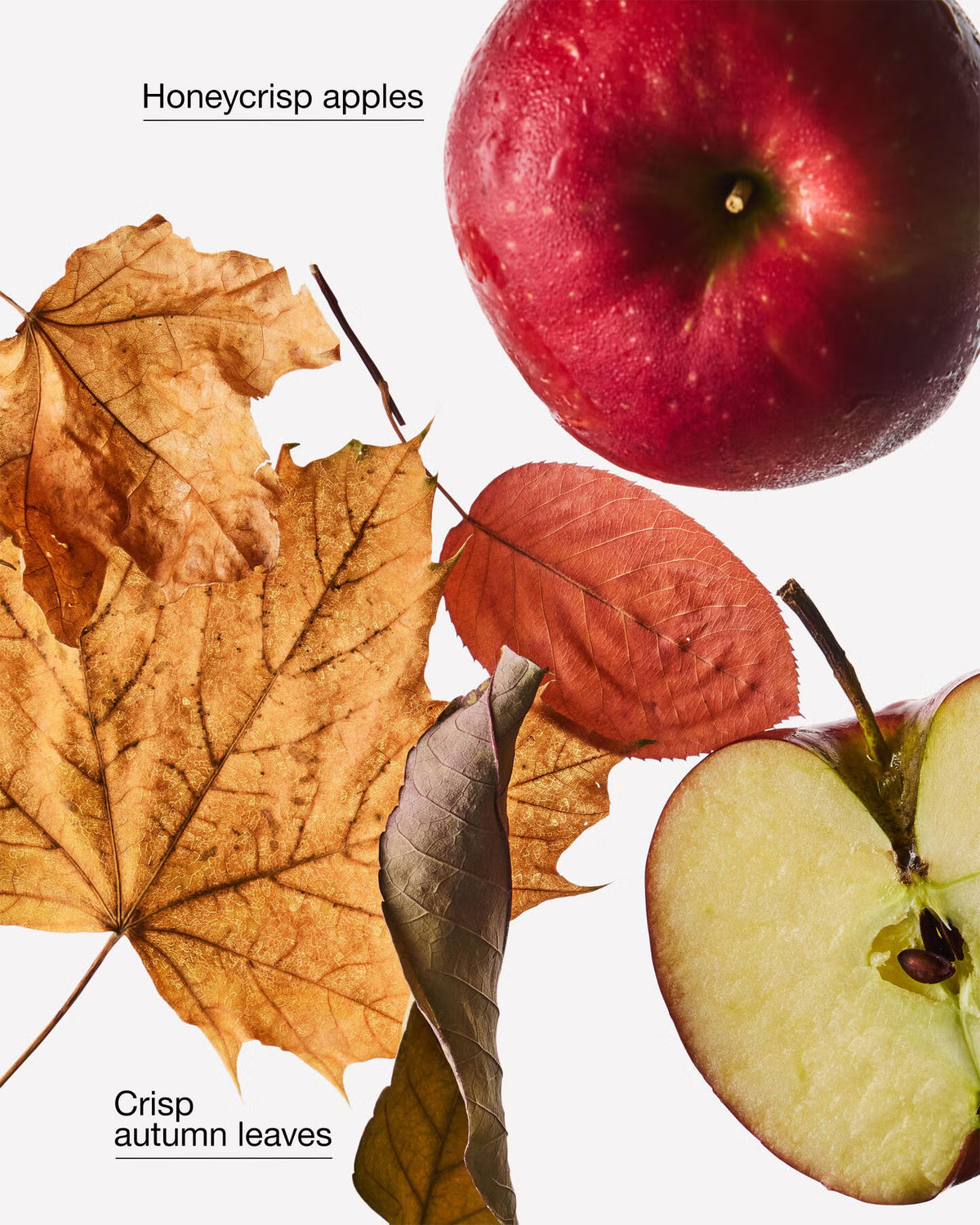 A styled flat-lay featuring a whole red apple, a sliced apple showing pale yellow flesh, and several autumn leaves in shades of brown, orange, and red on a white background, with text reading 'Honeycrisp apples' and 'Crisp autumn leaves'. A bottle of Bath Body Works Honeycrisp Hayride anti-bacterial hand gel, featuring a metallic gold cap and a label depicting a golden field with a ladybug, set against a plain light gray background. purchase from www.americanbodycare.co.uk