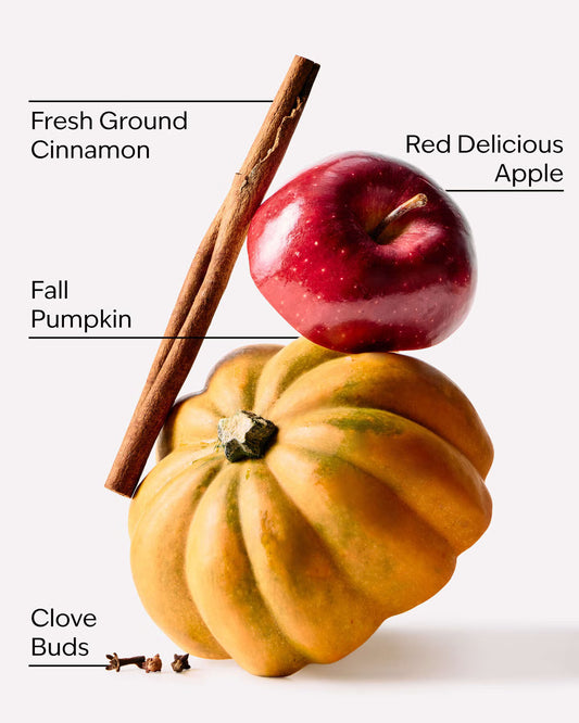 A styled still life of seasonal ingredients on a light gray background: a small orange pumpkin, a red apple labeled 'Red Delicious Apple,' a cinnamon stick labeled 'Fresh Ground Cinnamon,' clove buds labeled 'Clove Buds,' and text labels pointing to each ingredient. A single White Barn Car Fragrance Refill in the Pumpkin Apple scent, shown in its clear plastic container with a red and black label, on a light gray background. purchase from www.americanbodycare.co.uk
