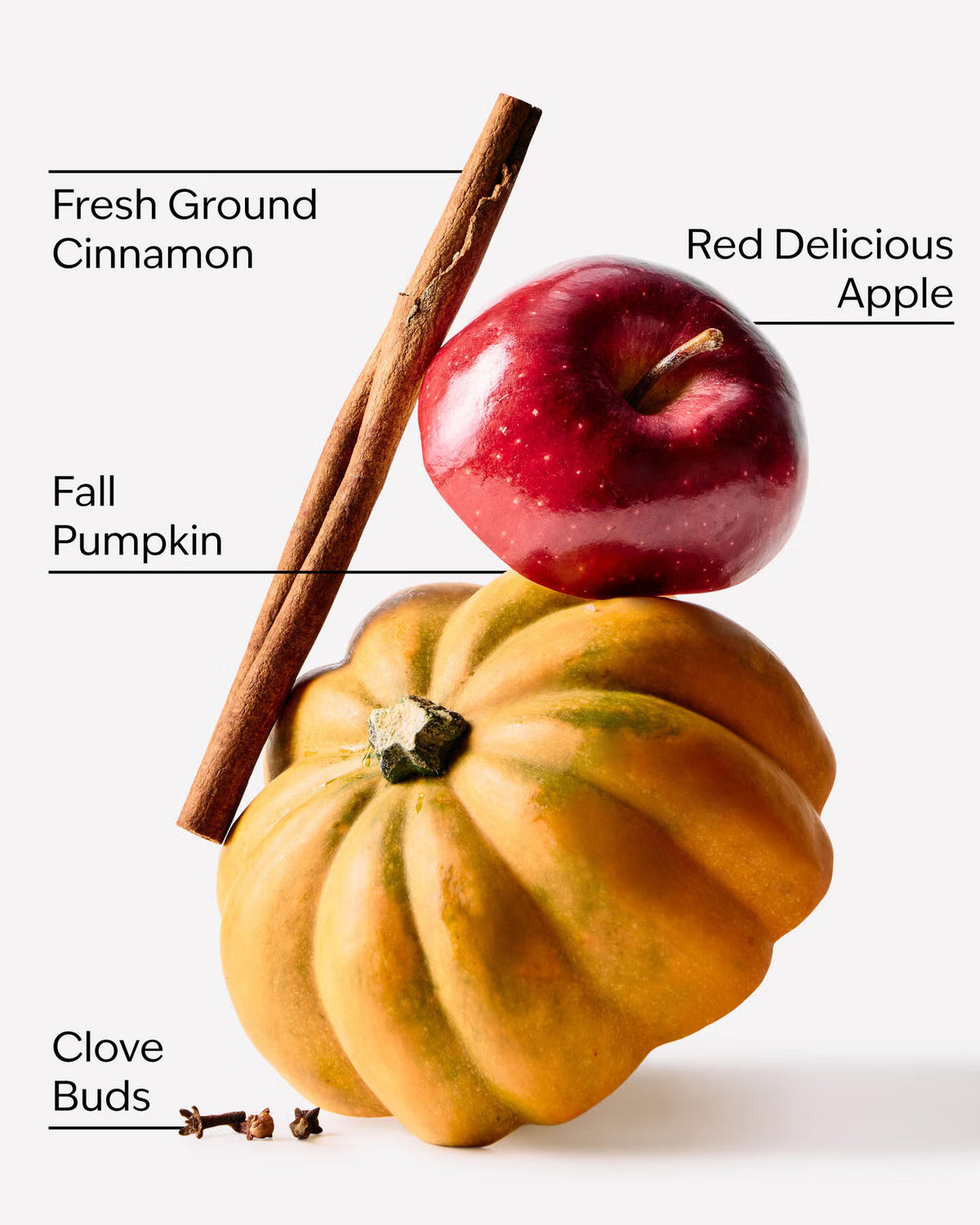 Bath & Body Works Pumpkin Apple Foaming Hand Soap