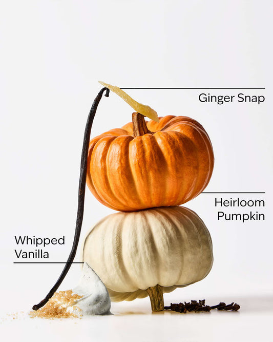 Three pumpkins stacked vertically with labels pointing to each: Ginger Snap on top, Heirloom Pumpkin in the middle, and Whipped Vanilla at the bottom, alongside a vanilla bean and spice pieces on a white background. A bottle of Bath & Body Works Sweet Cinnamon Pumpkin body wash, featuring a translucent amber-orange liquid and a metallic gold cap, centered on a light gray background. purchase from www.americanbodycare.co.uk