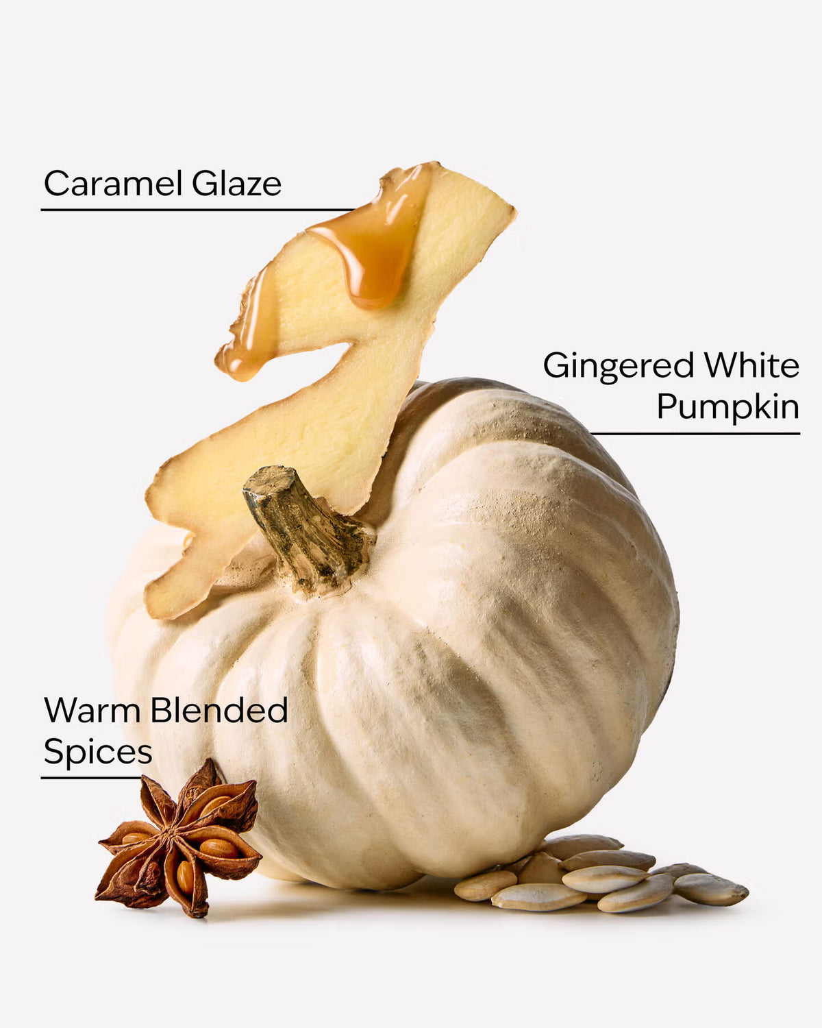 A styled food product shot of a small white pumpkin with a caramel glaze drizzle, labeled 'Caramel Glaze,' a gingered white pumpkin body labeled 'Gingered White Pumpkin,' warm blended spices labeled 'Warm Blended Spices,' and star anise and pumpkin seeds on a light gray background. Purchase from www.americanbodycare.co.uk