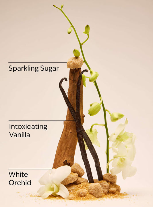Vanilla beans, sparkling sugar, and white orchids with labels on a beige background. A bottle of Bath & Body Works Warm Vanilla Sugar body wash with a metallic rose gold cap and a glittery rose gold label, shown on a light gray background. purchase from www.americanbodycare.co.uk